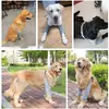 Joelheiras para Cães, Protetores de Articulações, Acessórios para Golden Retriever, Capas Protetoras, Mangas Protetoras para Cães da Raça Border Collie, Roupas, Mangas para Cães Grandes, Joelheiras