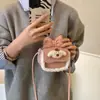 Mini Bolso Cuadrado Diseño de Nicho Estilo Coreano 2025 Nuevo Ins Estilo Invierno Lindo Bolso de Hombro Cruzado