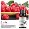 Exportación Transfronteriza Aceite Esencial Individual Fragancia Aromaterapia Masaje Aceite Esencial Sándalo Difusor Mayoreo Muestra de 10 ml