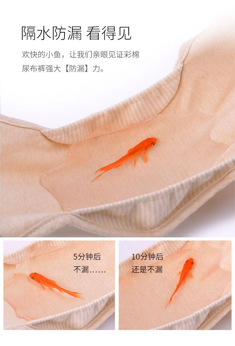 MMG586彩棉系扣款尿布裤详情_13.jpg