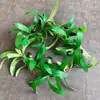 Enredaderas Simuladas de Frutos de Olivo, Árboles Artificiales para Paisajismo, Decoración de Plantas Verdes Transfronteriza al por Mayor