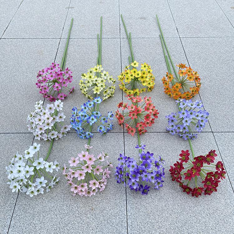 主图 花溪谷.JPG