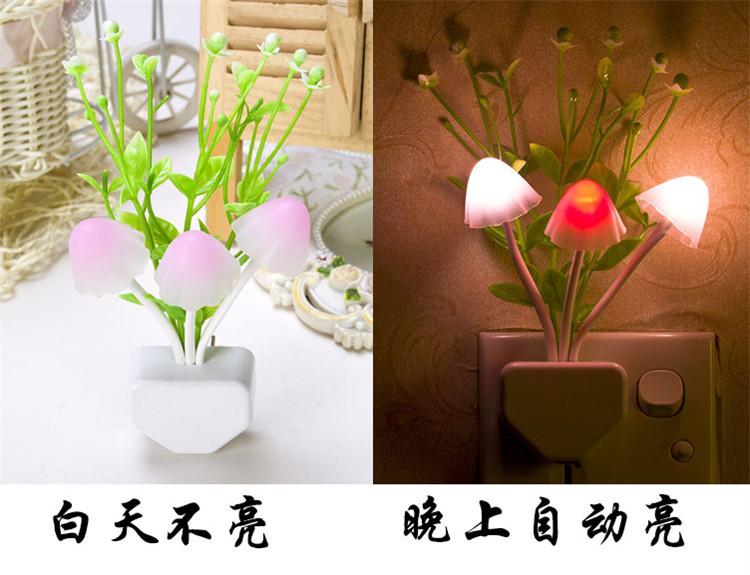三角水草.jpg