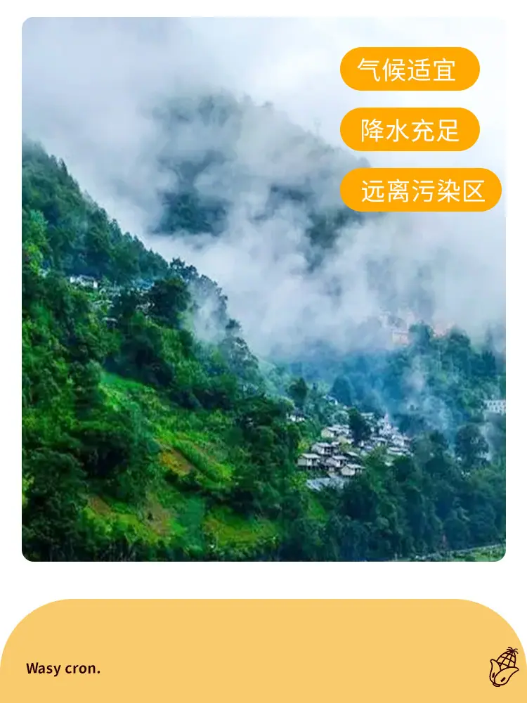 详情页_07