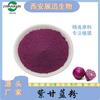 Polvo de col morada 98% soluble en agua, polvo vegetal, 1 kg/bolsa