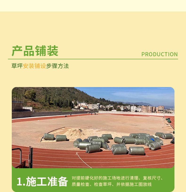 草坪--足球场免填充_08