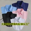 Camisa Blanca Cuello Falso, Cuello Falso Versátil Unisex, Cuadrado Decorativo de Algodón Poliéster, Cuello Redondo Falso, Transfronterizo