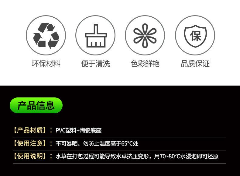 水草1_03.jpg