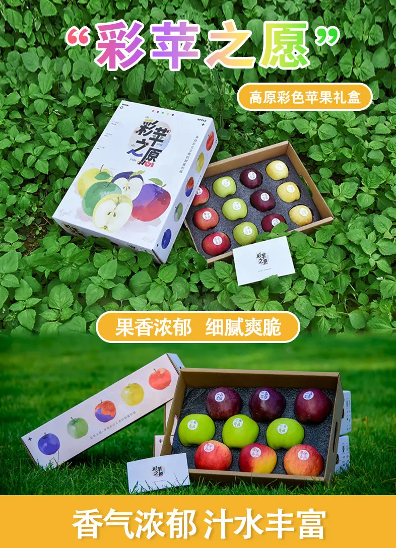 彩苹之愿高原彩色苹果拼装礼盒详情图