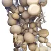 Venta al por mayor de fábrica de calabazas medianas con defectos, color y forma aleatorios, adecuadas para la práctica
