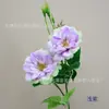 2 Rosas Lai Fei de Cabeza Única, Flores de Rosa Artificiales, Decoración de Atmósfera para Bodas al Aire Libre, Escaparate