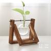 Jarrón de madera transparente con diseño de planta hidropónica creativa, pequeño recipiente para plantas frescas de escritorio, decoración moderna para sala de estar.