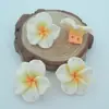 Venta de Liquidación Flor de Arcilla Blanda de 22 mm Plumeria Agujero Doble Pulsera de Cristal con Cuentas DIY Accesorio Creativo para el Cabello Collar Materiales para Joyería
