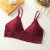 Sujetador de copa triangular de encaje estilo francés nuevo otoño tirantes espalda de belleza base delgada estilo japonés ropa interior inalámbrica para niña