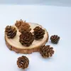 Fatias de Limão Decoração de Natal Acessórios Artesanais DIY Arranjo de Flores Ornamentos Decoração de Casa Pinhas Adereços de Fotografia Cascas de Frutas Secas