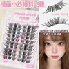Enlace Exclusivo SH de Xiyou