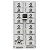 Sistema de Batería de Alto Voltaje para Exteriores de Comercio Exterior Estante de Almacenamiento de Energía 120Kwh Gabinete Integrado Refrigerado por Aire de Batería de Almacenamiento de Energía Industrial y Comercial