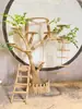 Marco de Escalada para Gatos de Madera Maciza, Resistente al Desgaste, No se Pega el Pelo, Anticorrosión, Madera Natural, Cama Grande para Gatos, Árbol de Escalada Popular para Gatos, Plataforma de Salto para Mascotas