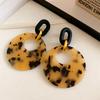 Brincos Quadrados Geométricos com Estampa de Leopardo Retro Agulha de Prata 2026 Novo Estilo Maillard Studs com uma Vibração Única para Outono e Inverno