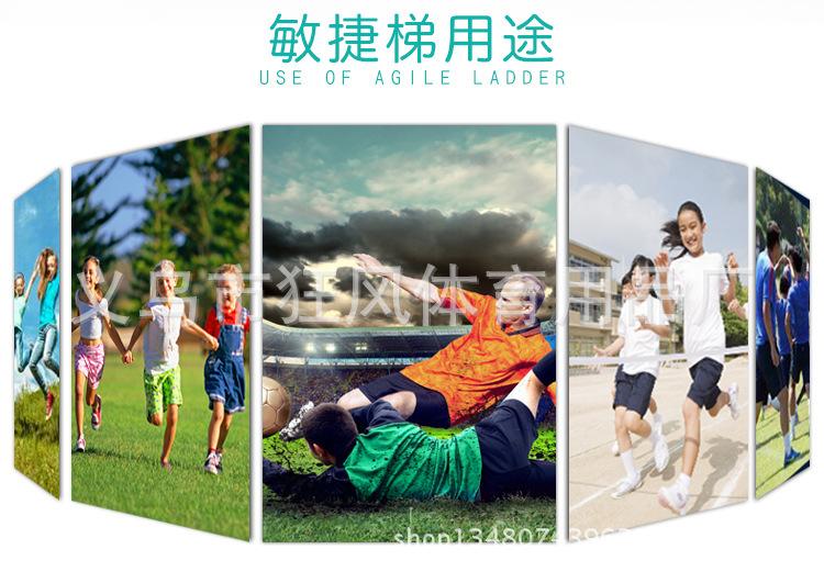 敏捷梯_04