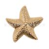 Cross-border Metal Shoe Flower Shoe Buckle Cave Shoe Acessórios Advanced Sense Cave Shoe Flower Accessories Decoração DIY Acessórios
