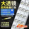 Fita de LED Fita de LED Longa Lâmpada de Sala de Estar Fonte de Luz Modificada Lâmpada de Teto de Quarto Fita de LED de Substituição Painel de Lâmpada Super Brilhante Venda por Atacado