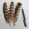 Venda Direta de Fábrica de Quase 100 Tipos de Acessórios Naturais de Penas Pequenas para Joias DIY, Acessórios de Cabeça, Broches, Chapéus, Materiais de Decoração para Artesanato