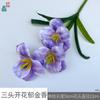 Tulipa Florida de Três Flores e Duas Hastes Tulipa Florindo com Cinco Flores Decoração para Sala de Estar de Casa Flor Artificial Flor para Arranjo de Casamento Flor de Seda