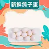 Ovos de pombo de criação livre de fazenda em Henan, atacado e entrega, 10/20/30 ovos, alimentados com grãos mistos, ovos de pombo frescos, ovos de aves frescas