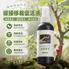 Solução Ativadora para Enxertia e Transplante, Agente Cicatrizante, Solução Ativadora Especial para Proteção de Feridas de Árvores Frutíferas, Plantas, Bonsai e Flores