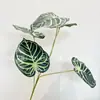 2025 Nueva Grande 3D Colorida Hoja Plantas Verdes Artificiales Sala de Estar Dormitorio Planta Decorativa en Maceta Fabricantes Mayorista