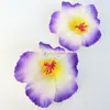 Cabeças de Flores de Hibisco Artificiais Mais Vendidas no Exterior de Fabricantes, Flores Havaianas em Gradiente Multicor, Adereços para Fotos de Férias na Praia, Acessórios de Cabeça com Flores