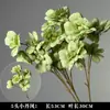 Plantas Verdes, Hierba de Junco, Hierba Bigote de Dragón, Fondo de Boda, Paisajismo de Ventana Floral, Flores Decorativas para Boda en Bosque Blanco y Verde