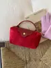 Bolsas de Alto Nivel de Nicho de Comercio Exterior para Mujer 2025 Nueva Moda Versátil Súper Popular Bolso Cruzado Estilo Coreano Bolso Pequeño de Mano