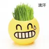Iones Negativos Tendencia Hierba de Bendición Plantación Expresión Fresca Micro Paisaje Bonsái Césped Plantación Divertida Regalo Estudiantil