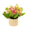 Manzanilla Pastoral Bonsái Pequeño Flor Creativa Flor de Simulación Decoración para el Hogar Estudio Decoración Planta Verde Artificial Planta en Maceta de Simulación