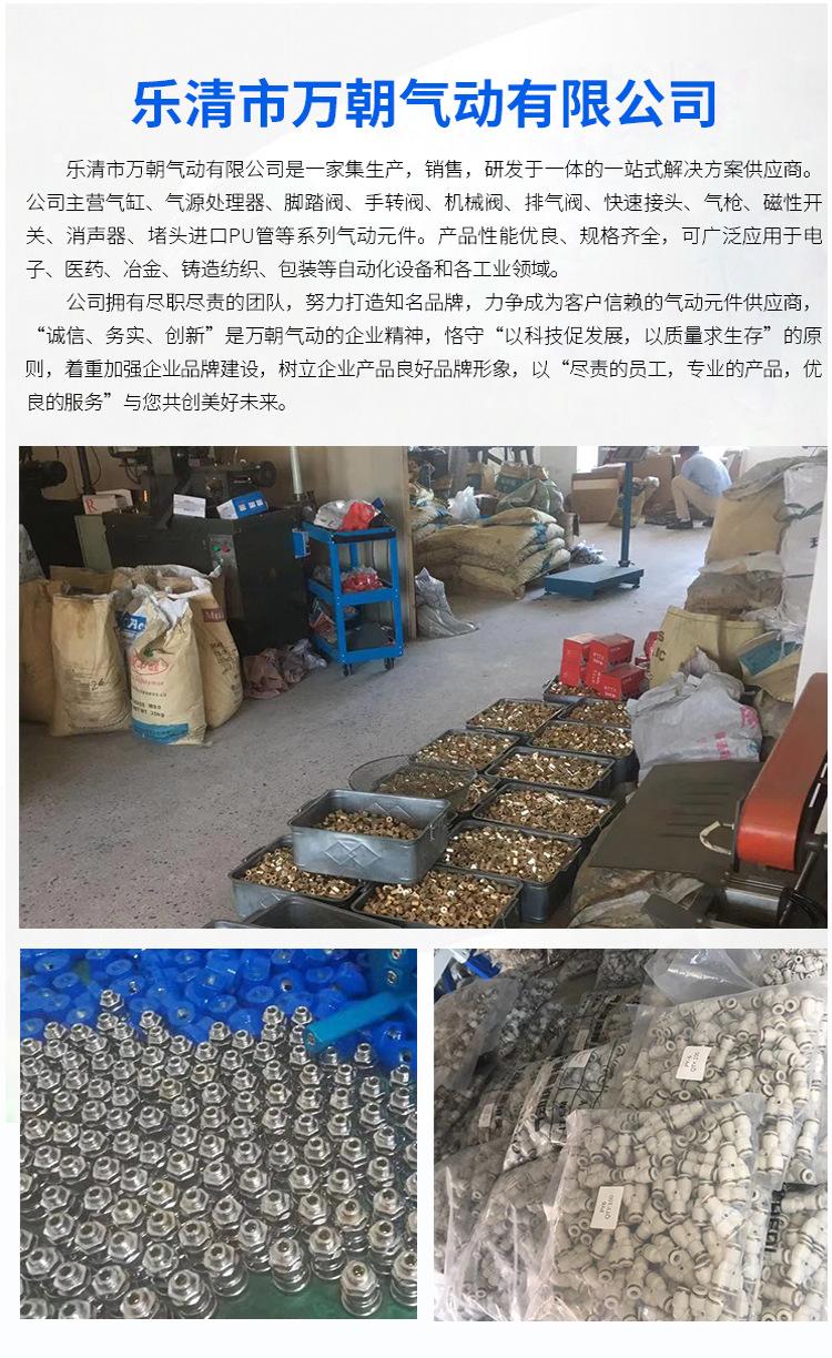 气缸MGPM_09