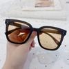 P28300 café arena TR polarizado Gafas de sol plegables protección solar conducción retro moderno protección UV pequeño y fácil de llevar