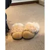 Pantuflas de Felpa con Forro para Temporada First Encounter, Estilo Slip-On con Lindo Diseño de Pata de Gato, Zapatos Cálidos para Exteriores con Suela Gruesa Estilo Birkenstock para Mujer