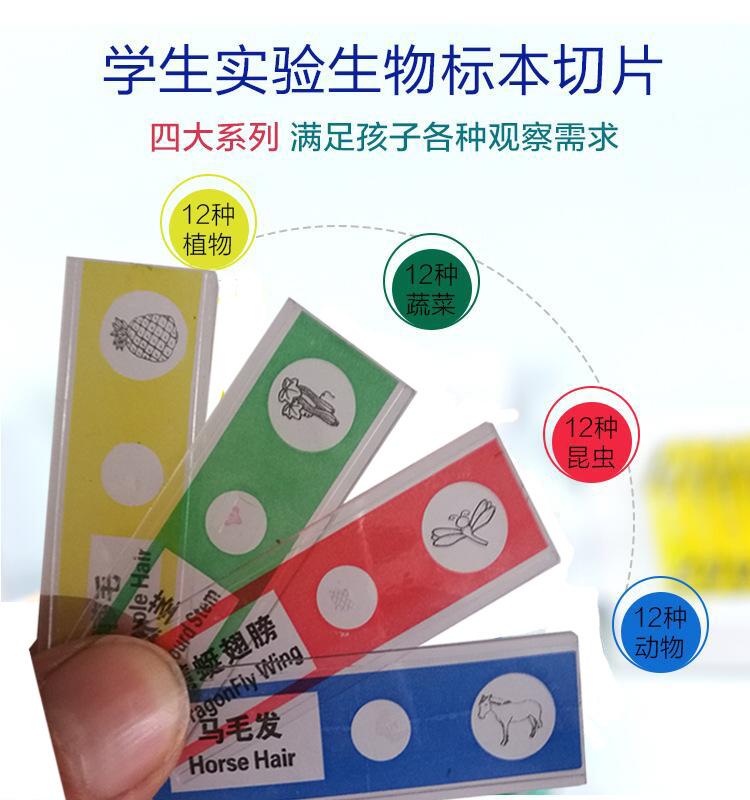 切片详情1