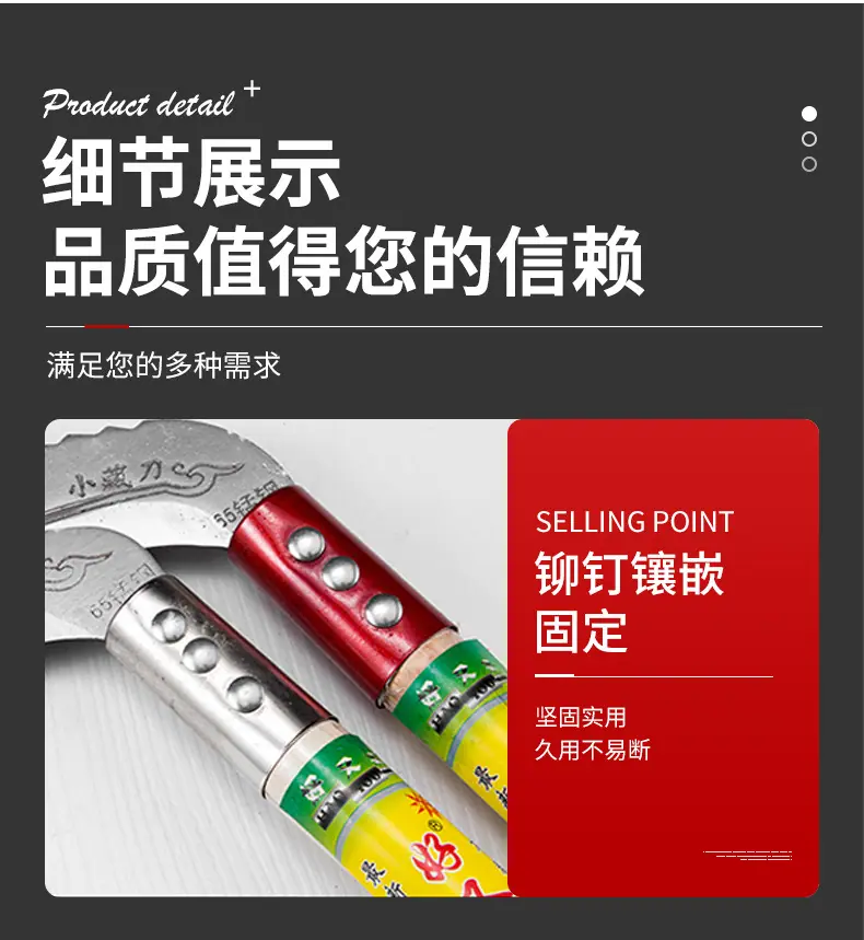 1_15.jpg