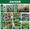 Colección Wholesale del Fabricante de Semillas de Verduras para Cuatro Estaciones para Huertos Caseros, Verduras en Macetas de Balcón, Semillas de Frutas y Semillas de Verduras Hidropónicas