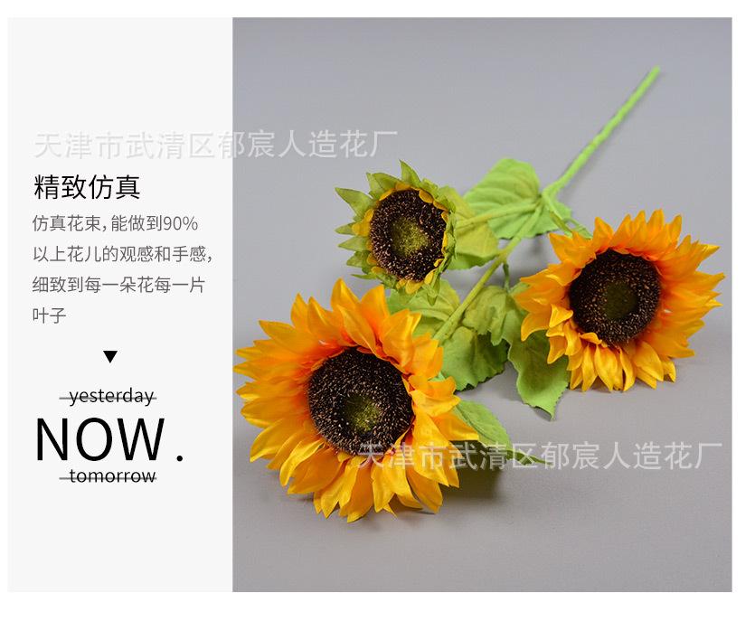 详情_06.jpg