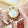 Reloj Luminoso para Estudiantes, Niñas, Correa de Malla de Goma, Reloj de Mujer, Fabricante de Relojes de Cuarzo, Relojes para Mujer, Esfera Grande