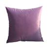 Almohada Color Sólido Franela Cojín Terciopelo Funda de Almohada Oficina Cojín de Apoyo Lumbar Cojín Personalizado Lujo Ligero Hogar