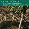 Dispositivo de tracción de ramas de árboles frutales Yongde dispositivo de apertura de ángulo mejorado dispositivo de presión de ramas ajuste de tronco cerezo torsión doblado herramienta agrícola artefacto