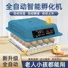 Incubadora Transfronteriza, Incubadora de Huevos Inteligente Totalmente Automática, Incubadora Pequeña para el Hogar, Incubadora de Huevos