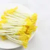 Estames de malte pistilos bastões retorcidos materiais feitos à mão fondant gesso flor de lótus flor de veludo flores embrulhadas centros de flores amarelas