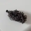 Grampo de Cabelo de Malha Plissada Floral Suave, Super Estilo Fada, High-End, Fashion, Elegante, Acessório de Cabelo Presilha Banana para Rabo de Cavalo Alto, Novo Estilo