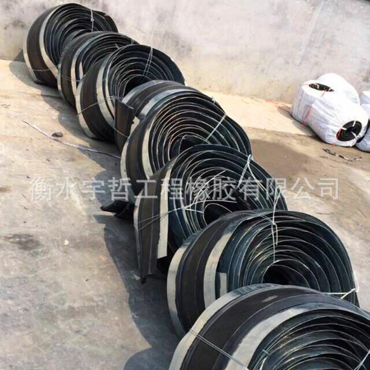 钢边橡胶止水带 (14)